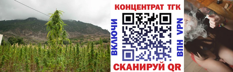 ТГК жижа  Купить закладки  Верхняя Тура 