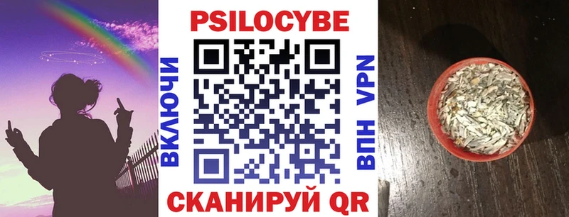 Галлюциногенные грибы Psilocybine cubensis  Купить где  Верхняя Тура 